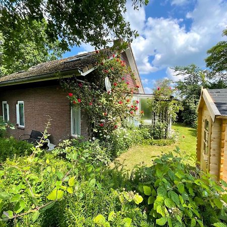 Rustig gelegen vakantiebungalow Kortgene Exterior foto